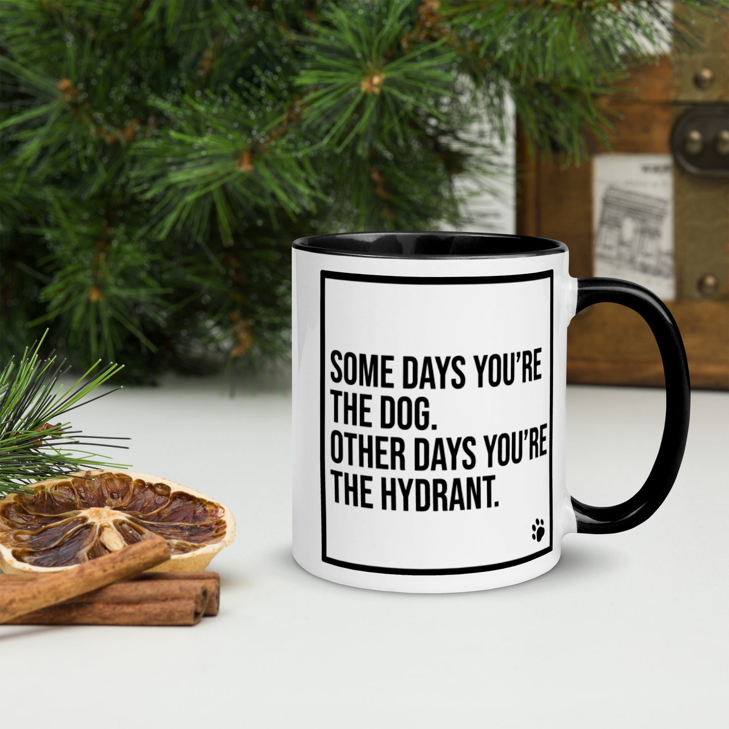 Some Days You're the Dog. Other Days You're the Hydrant: Mug with Color Inside