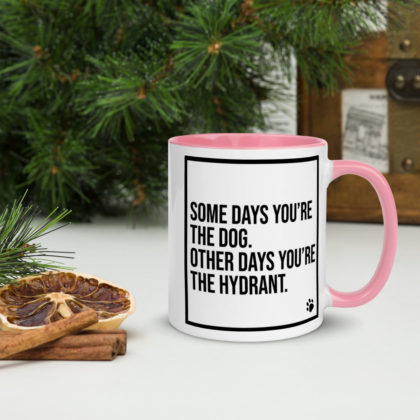 Some Days You're the Dog. Other Days You're the Hydrant: Mug with Color Inside